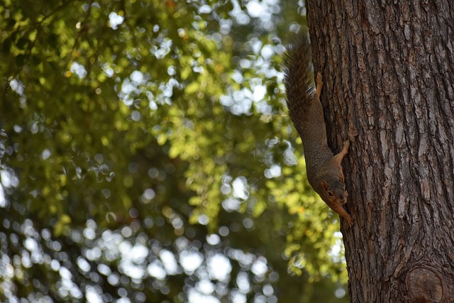 奇兵案例 奇兵案例