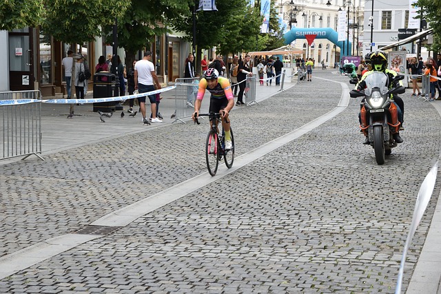 家队的重要 家队的重要