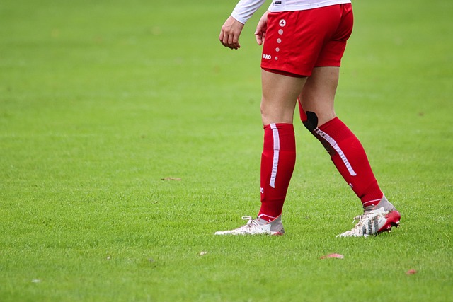 充分展示出 充分展示出