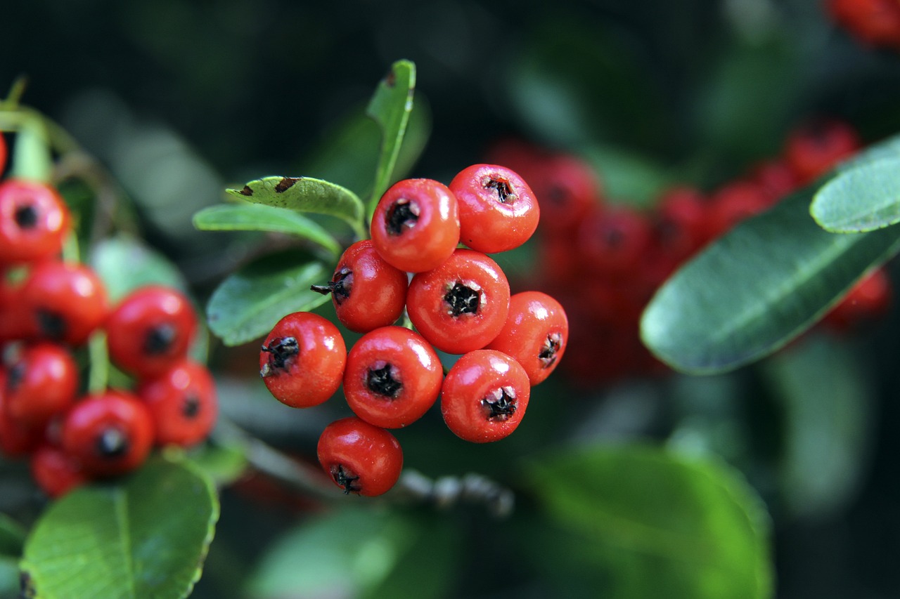 门神竟然 门神竟然