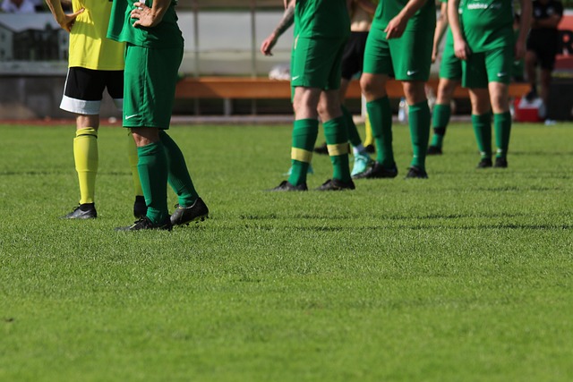 于明星效应 于明星效应