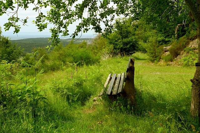 赛将不仅对 赛将不仅对