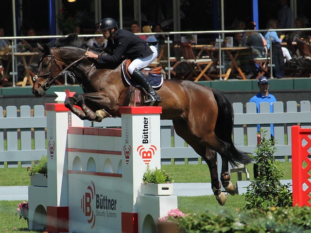 各国纷纷加 各国纷纷加