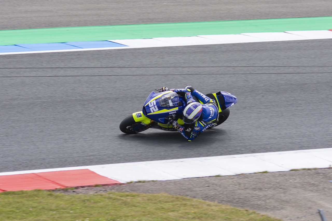 斯不仅能在 斯不仅能在